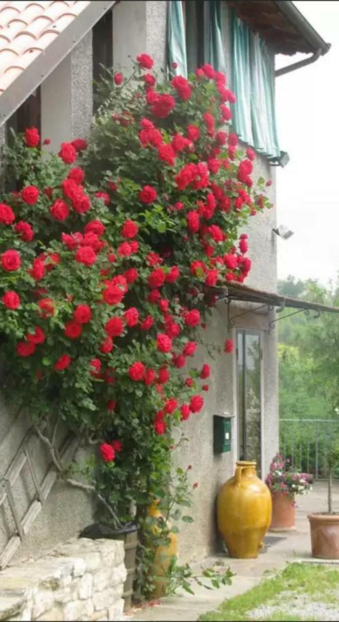 Villa Casa Mazzocchi Vista Su Poppi Exterior foto